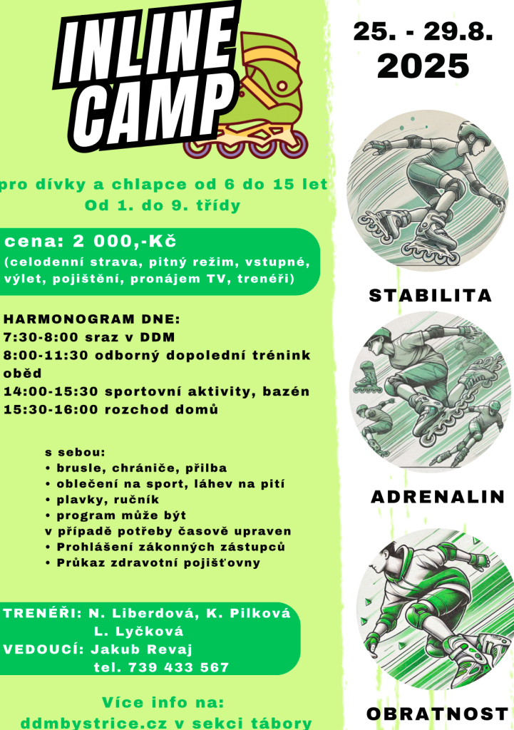 PT - Inline Camp