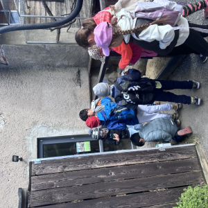 IMG_5016.jpeg
