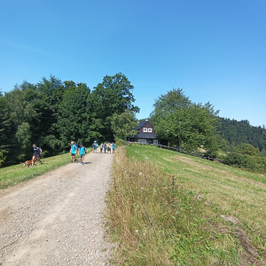 IMG_7034.jpeg