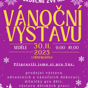 VÁNOČNÍ VÝSTAVA