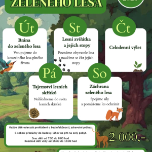 PT - Tajemství lesa