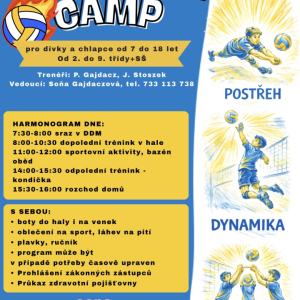 PT - Volejbal Camp
