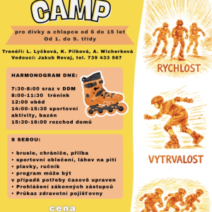 PT - Inline Camp